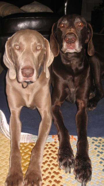 Chelsea with Ollie